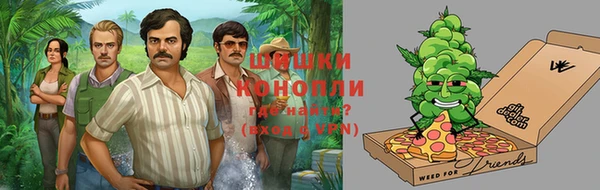 стаф Алексеевка
