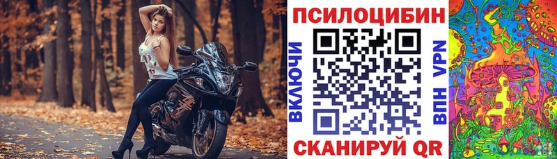 Галлюциногенные грибы мицелий  где купить наркоту  Волгоград 