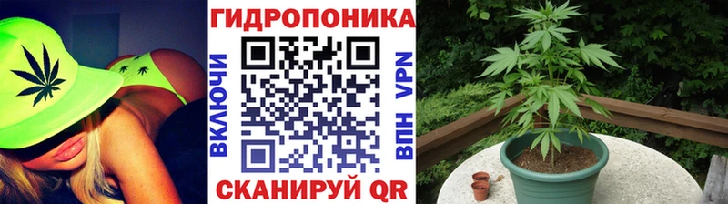 Марихуана тримм  хочу   Волгоград 